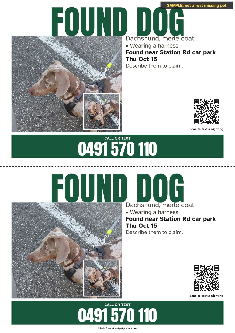 SAMPLE, not a real missing pet: FOUND DOG flyer with two photos of a merle dachshund