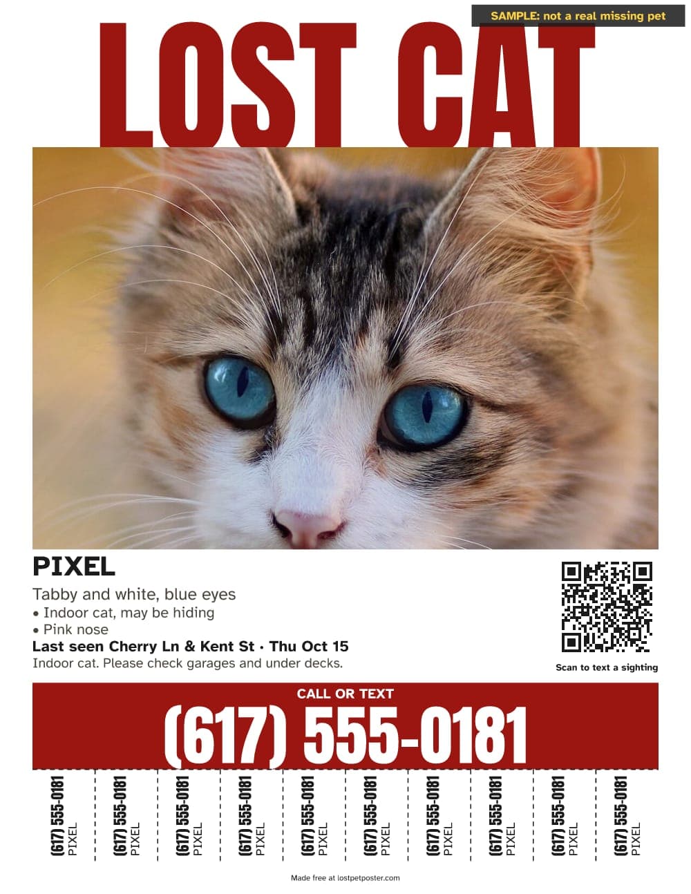 SAMPLE, not a real missing pet: LOST CAT poster for an indoor tabby and white cat named Pixel with blue eyes