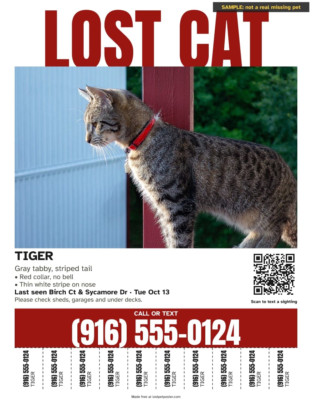 SAMPLE, not a real missing pet: LOST CAT poster for a gray tabby named Tiger wearing a red collar
