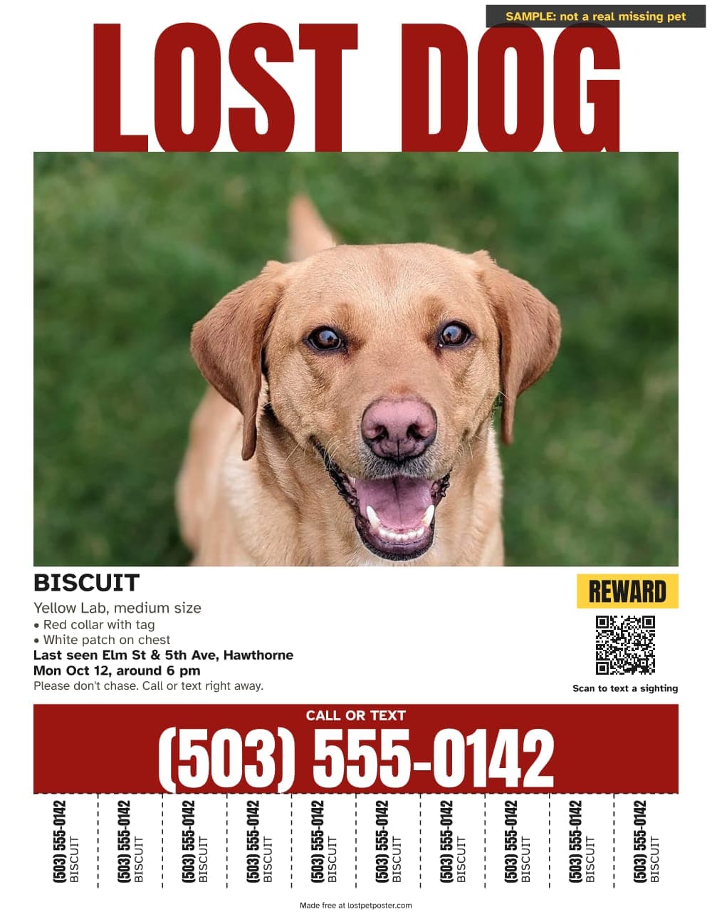 SAMPLE, not a real missing pet: LOST DOG poster for a yellow Lab named Biscuit with a red phone band and tear-off tabs
