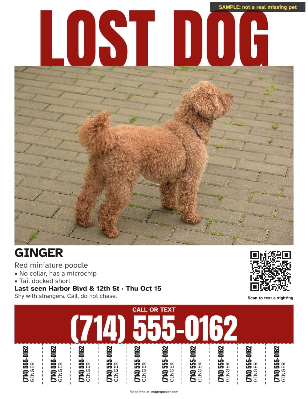 SAMPLE, not a real missing pet: LOST DOG poster for a red miniature poodle named Ginger with no collar