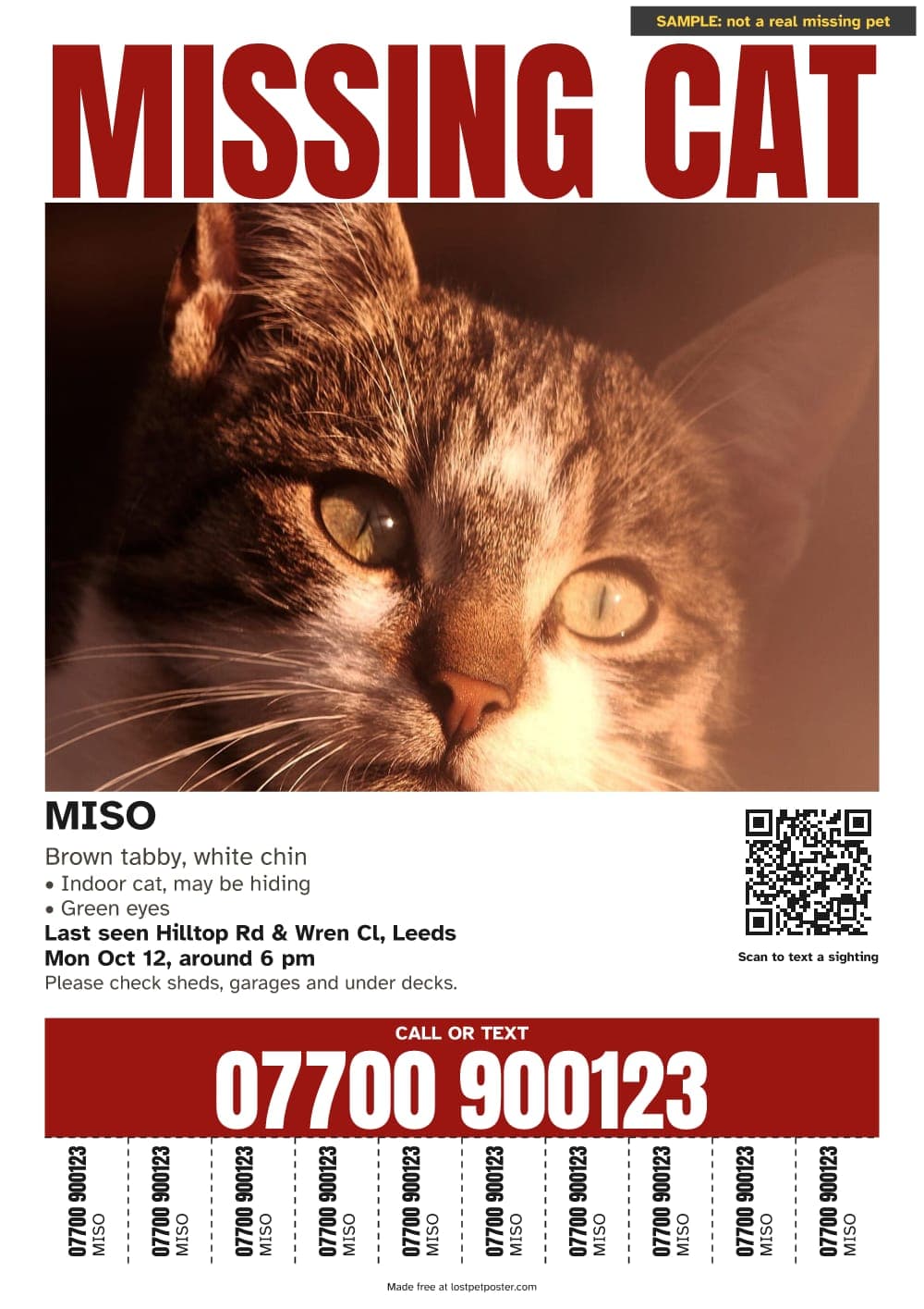 SAMPLE, not a real missing pet: MISSING CAT poster on A4 for a brown tabby named Miso