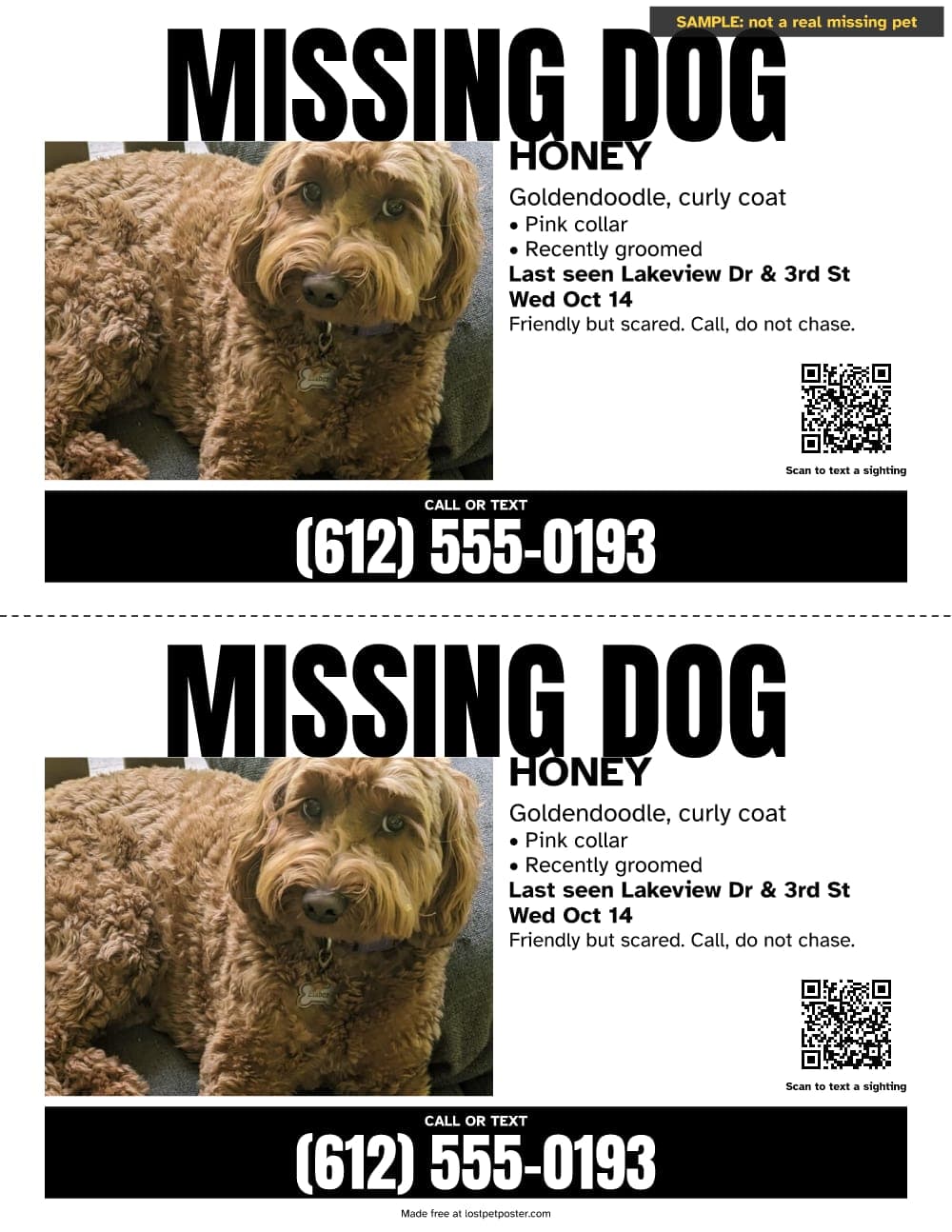 SAMPLE, not a real missing pet: black and white MISSING DOG flyer sheet for a goldendoodle named Honey