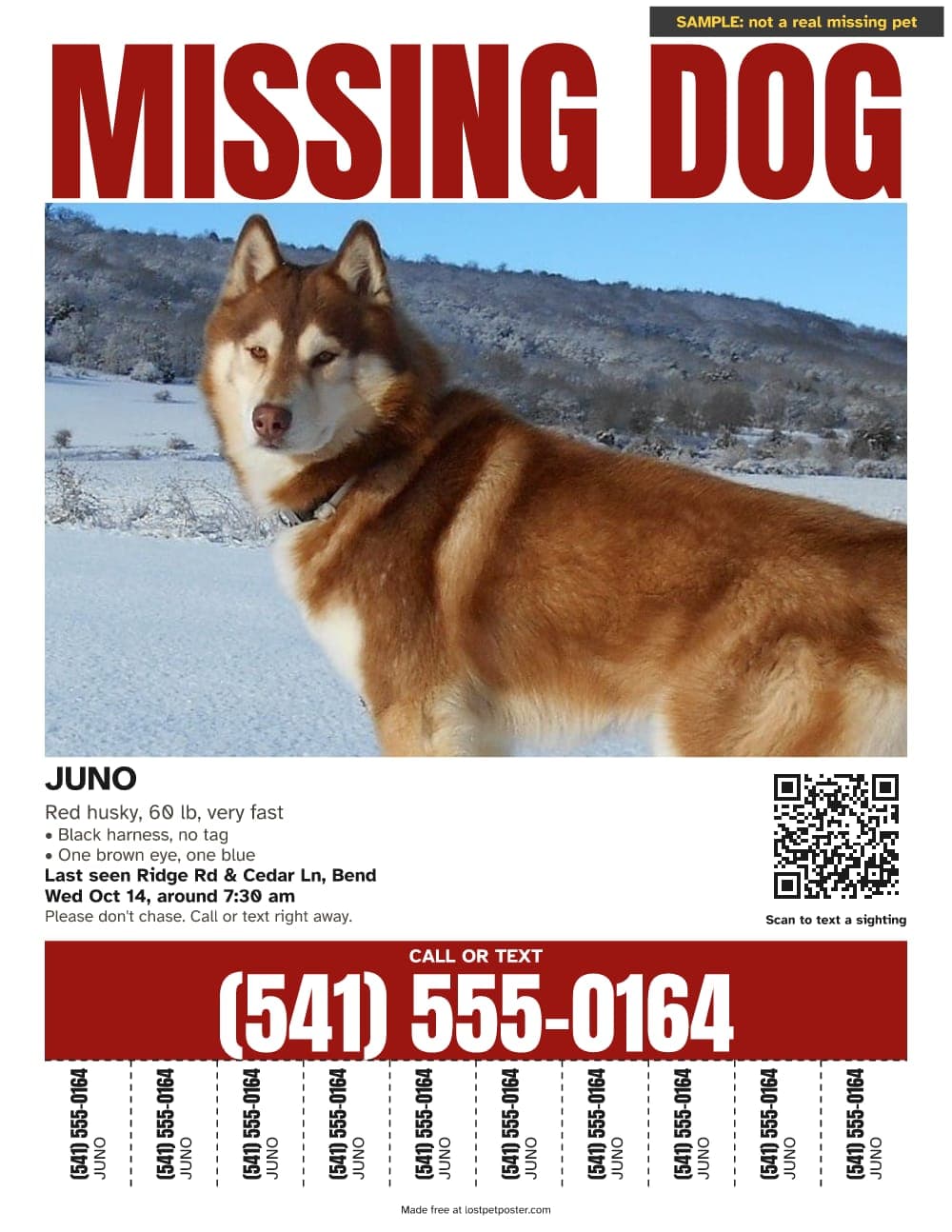 SAMPLE, not a real missing pet: MISSING DOG poster for a red husky named Juno with tear-off tabs
