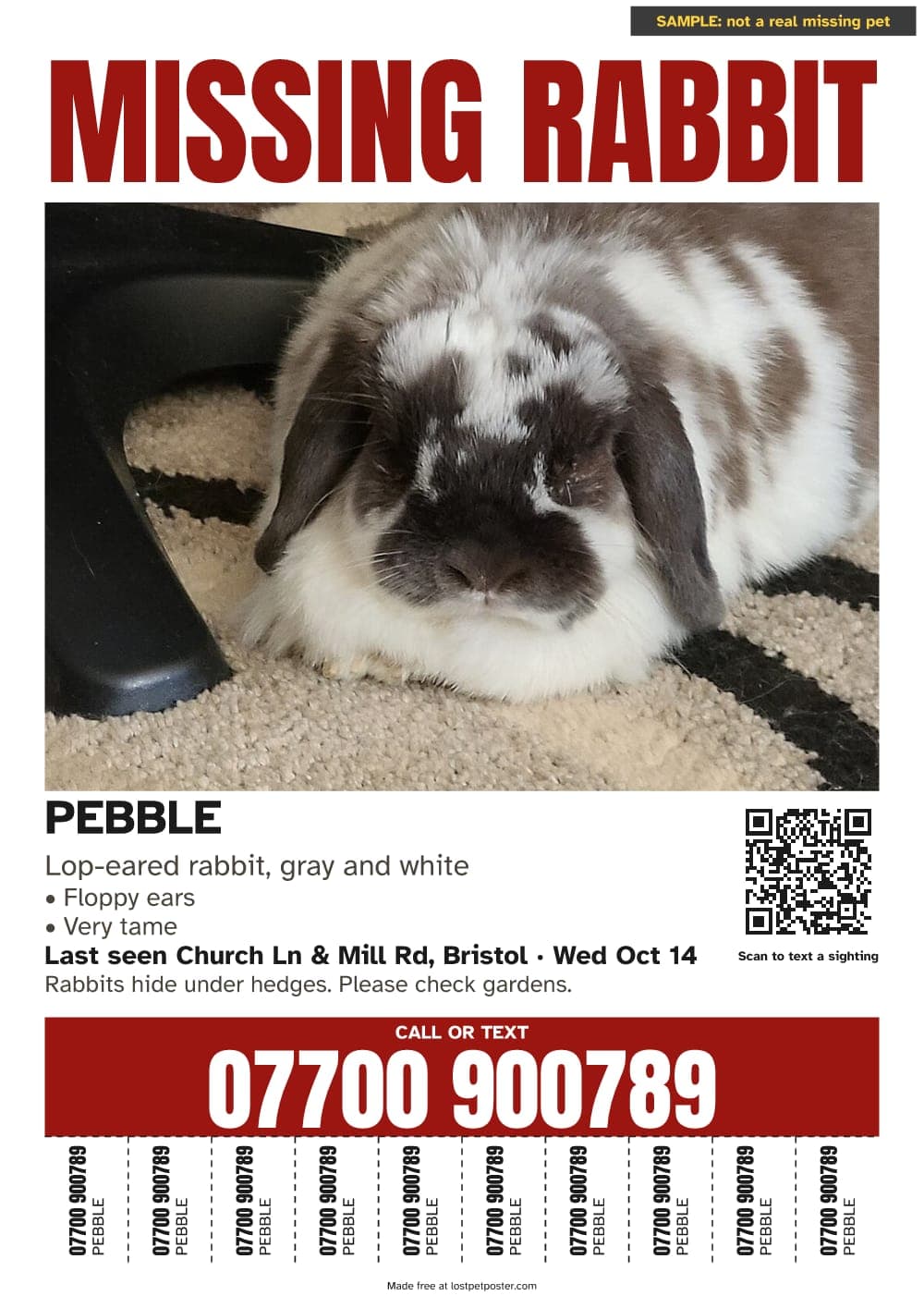 SAMPLE, not a real missing pet: MISSING RABBIT poster on A4 for a lop-eared rabbit named Pebble